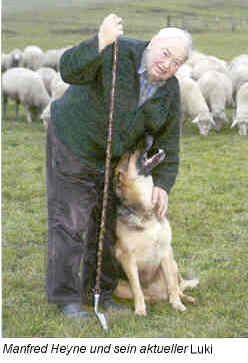 German Shepherd Cost